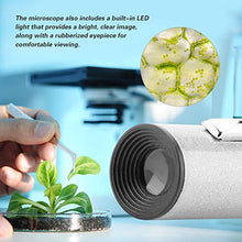 Load image into Gallery viewer, Pocket Magnifier, Clear Image Magnifier Microscope Built in LED Light Mini 100x Microscope for Samples Details
