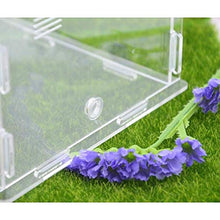 Load image into Gallery viewer, Insect Villa Acryl Ant Farm DIY Nest, Ant Farm Castle, Natural Insect Ecology Box Breeding Cage Kids Toy Plastic Ant House Set for Study Ants Within The 3D Maze 6.3x5.5x4.5 Inch Festival Birthday Gift
