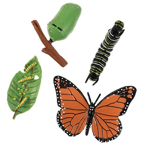 Toyvian 4Pcs Butterfly Life Cycle Kit Plastic Insect Growth Cycle Toy Kit Butterflies Early Education Animal Figures for Kids Biology Science Toys