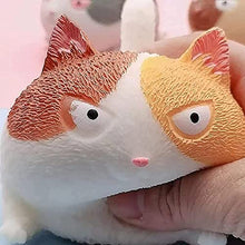 Load image into Gallery viewer, Climbtop Funny Cute Cat-Shaped Ball,Stress Relief Squeeze Ball Stress Toys for Kids and Adults (A2)
