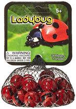 Load image into Gallery viewer, Marbles - Ladybug
