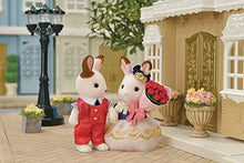 Load image into Gallery viewer, Calico Critters Town Series Cute Couple Set, Set of 2 Collectible Doll Figures with Fashion and Floral Accessories
