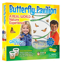 Load image into Gallery viewer, Insect Lore Butterfly Pavilion
