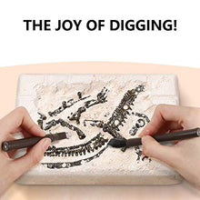 Load image into Gallery viewer, Dinosaur Fossil Digging Kit for Kids, Dinosaur Eggs Excavation Kit, Dino Fossil Dig Kit, Great STEM Science Kit Gifts
