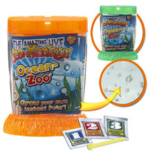 Load image into Gallery viewer, Schylling Sea Monkeys Ocean Zoo - Colors May Vary
