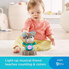 Load image into Gallery viewer, Fisher-Price Linkimals Musical Moose - Interactive Educational Toy with Music and Lights for Baby Ages 9 Months &amp; Up
