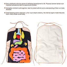 Load image into Gallery viewer, LZKW Preschool Teaching, Easy to Clean Fashionable 3D Organ Apron, Children Kids
