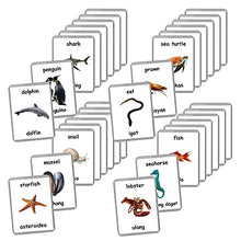 Load image into Gallery viewer, Sea Animals Flash Cards - 26 Laminated Flashcards | Ocean Animals | Water Animals | Homeschool | Multilingual Flash Cards | Bilingual Flashcards - Choose Your Language (Filipino + English)
