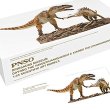 Load image into Gallery viewer, PNSO 1/35 Yangchuanosaurus Fight Chungkingosaurus Dinosaur Figure Realistic with Platform Jurassic Animal Dino PVC Model Toys Collector Decor Gift Birthday Party for Adult PreOrder
