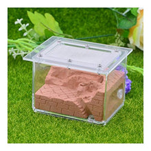 Load image into Gallery viewer, LLNN Insect Villa Acryl Ant Farm DIY Nest, Ant Farm Castle Acryl Box, Great Gift for Kids and Adults, Study of Ant Behavior &amp; Ecosystem 4x3.2x3.2 Inch Festival Birthday Gift (Color : D)
