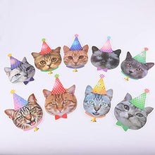Load image into Gallery viewer, NUOBESTY 12pcs Cat Cupcake Toppers Cat Birthday Bunting Cartoon Cat Head Cake Cupcake Picks for Cat Kitten Birthday Party Supplies Party Decorations
