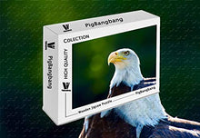 Load image into Gallery viewer, PigBangbang,Stained Art Kids Adult Basswood - Eagle Head Close Up White Feathers - 500 Piece Jigsaw Puzzle (20.6 X 15.1 &#39;&#39;)
