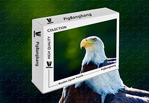 PigBangbang,Stained Art Kids Adult Basswood - Eagle Head Close Up White Feathers - 500 Piece Jigsaw Puzzle (20.6 X 15.1 '')