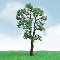 Pro-Elite Tree, Maple 3.5-4
