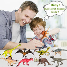 Load image into Gallery viewer, 13 Pack Dinosaur Toy Figures with Educational Dinosaur Book, Large Plastic Dinosaur Toys Set Gifts for Toddlers, Kids, Boys and Girls, Funsland Dinosaur Figurines
