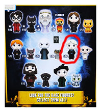 Load image into Gallery viewer, Funko Mini Mystery - Harry Potter Series - Draco Malfoy
