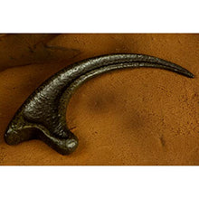Load image into Gallery viewer, Doctor Collector Collectable Jurassic Park Raptor Claw 1:1 Scale Replica
