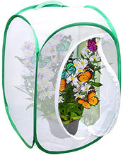 Load image into Gallery viewer, SunGrow Backyard Butterfly Cage Habitat, 24 Tall, Collapsible, Pop-up Terrarium, Fine Mesh Stops Predator, 5 Mesh Panels for Ventilation, with Clear Window Panel for Easy Viewing
