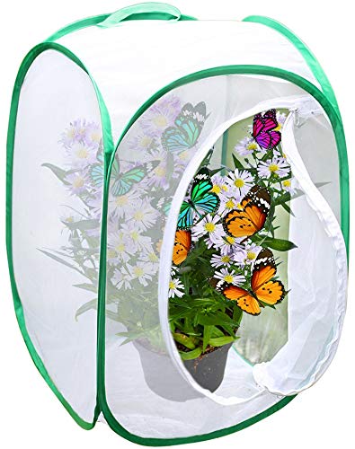 SunGrow Backyard Butterfly Cage Habitat, 24 Tall, Collapsible, Pop-up Terrarium, Fine Mesh Stops Predator, 5 Mesh Panels for Ventilation, with Clear Window Panel for Easy Viewing