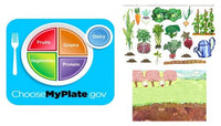 What's Growing? Vegetable Learning Kit Felt Figures for Flannelboard Stories-precut Ready to Use