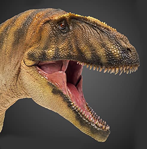 FloZ PNSO Carcharodontosaurus Gamba Dinosaur Model Toy Collectible