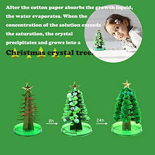 Load image into Gallery viewer, HDGTSA Magic Growing Tree DIY Crystal Christmas Tree Decoration Blossom Paper Tree Kids Creative Birthday Gift Novelty Kit Toys Gifts for Kids Funny Educational and Party Toys (A,2PCS)
