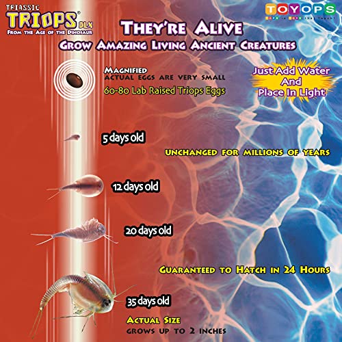 Deluxe Triops Kit - Fun Educational Toy for Kids