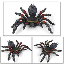Load image into Gallery viewer, BURTINAR 2 PCS Realistic Spider Figures, Giant Toy Spider Animal Model, Halloween Prank Props Party Decorations, Can Also Be Used for Doys, Gifts for Girl Education and Learning (Thick-Legged Spider)
