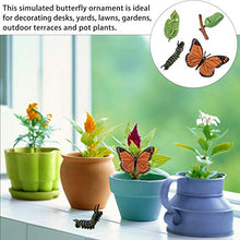 Load image into Gallery viewer, Toyvian 4Pcs Butterfly Life Cycle Kit Plastic Insect Growth Cycle Toy Kit Butterflies Early Education Animal Figures for Kids Biology Science Toys
