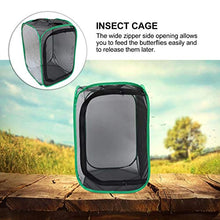 Load image into Gallery viewer, Holibanna Insect Cage Foldable Insect Box Bug House Bug Box Nature Exploration Toy for Outdoor Gardening Observation 40X40X60cm
