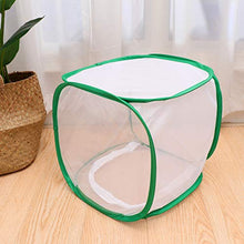 Load image into Gallery viewer, Cabilock Insect Cage Portable Bug House Butterfly Habitat for Children Learning White 30x30x30cm
