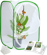 Load image into Gallery viewer, RESTCLOUD Insect and Butterfly Habitat Cage Terrarium Pop-up 24 Inches Tall with 10Pcs 10ML Floral Tubes
