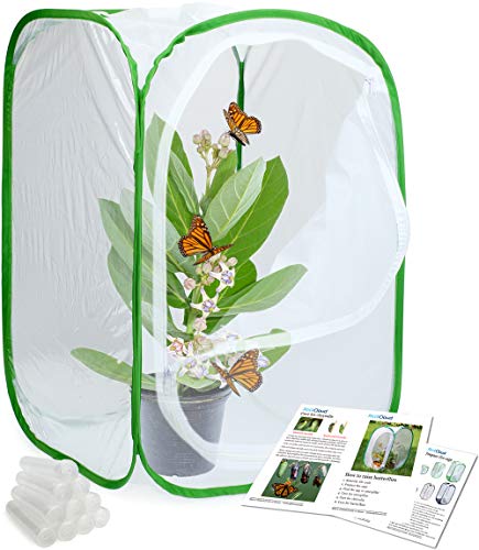 RESTCLOUD Insect and Butterfly Habitat Cage Terrarium Pop-up 24 Inches Tall with 10Pcs 10ML Floral Tubes