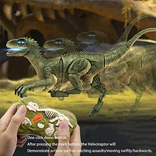 Load image into Gallery viewer, ICRPSTU Remote Control Dinosaur Toys, Walking Robot Dinosaur w/LED Light Up &amp; Roaring 2.4Ghz Simulation Velociraptor RC Dinosaur Toys for Kids 3 4 5 6 7 8+ Years Old Boys
