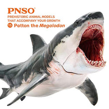 Load image into Gallery viewer, PNSO Prehistoric Animal Models:Patton The Megalodon (Big White Shark) 6.2&quot;
