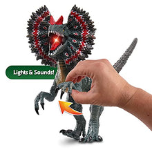 Load image into Gallery viewer, NKOK WowWorld B/O Dilophosaurus (Lights &amp; Sounds), Realistic Reptile Roars by Rotating an arm, Red LED Lights in Mouth and Along Ribs, Articulated in Mouth, arms, Legs and Tail, Great Gift
