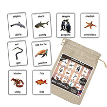 Load image into Gallery viewer, Sea Animals Flash Cards - 26 Laminated Flashcards | Ocean Animals | Water Animals | Homeschool | Multilingual Flash Cards | Bilingual Flashcards - Choose Your Language (Filipino + English)
