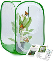 RESTCLOUD Professional Butterfly Habitat Insect Cage Caterpillar Enclosure Pop-up Polyester Bottom for Easier Clean (Green, 15.7 x 15.7 x 23.6 inches)