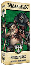 Load image into Gallery viewer, Malifaux Third Edition Resurrectionists Necropunks

