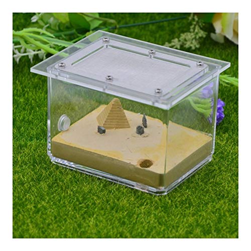 LLNN Insect Villa Acryl Ant Farm DIY Nest, Ant Farm Castle Acryl Box, Great Gift for Kids and Adults, Study of Ant Behavior & Ecosystem 4x3.2x3.2 Inch Festival Birthday Gift (Color : A)