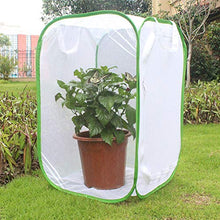 Load image into Gallery viewer, VINGVO Ventilated Insect Cage, Mesh Cloth Material Foldable Insect Cage, Easy to Fold Folding Ventilated for Home Insects Plant Garden
