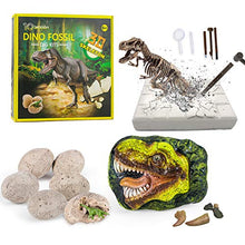 Load image into Gallery viewer, Dinosaur Fossil Digging Kit for Kids, Dinosaur Eggs Excavation Kit, Dino Fossil Dig Kit, Great STEM Science Kit Gifts
