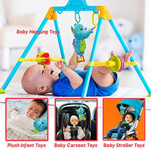 Load image into Gallery viewer, JERICETOY Baby Toy Plush Stuffed Infant Toy with Musical Box Baby Development Toys Music Toy 3-6 Months Baby Toy with Crinkle Teether Stroller Clip-On Carseat Cot Crib Bed Hanging Toys-Seahorse
