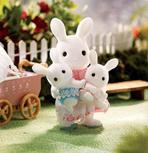 Load image into Gallery viewer, Calico Critters Connor &amp; Kerris Carriage Ride, Doll Playset, Collectible, Ready to Play, Model Number: CC2488
