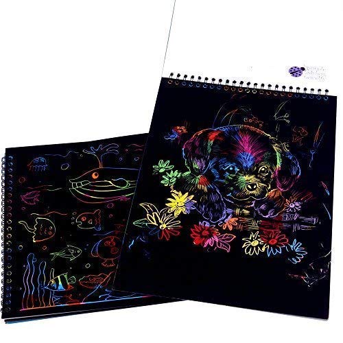 PURPLE LADYBUG Rainbow Scratch Art for Kids Mini Notes - Great