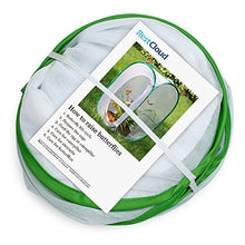 Load image into Gallery viewer, RESTCLOUD Professional Butterfly Habitat Insect Cage Caterpillar Enclosure Pop-up Polyester Bottom for Easier Clean (Green, 15.7 x 15.7 x 23.6 inches)
