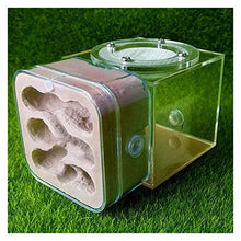 Load image into Gallery viewer, LLNN Insect Villa Acryl Ant Farm DIY Nest, Plaster Ant Workshop Ant Nest Acrylic Ants Farm Kids DIY Educational Toys Pet Ants Insect Cages Children Gifts Festival Birthday Gift (Color : B)
