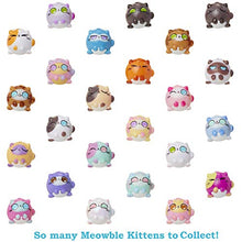 Load image into Gallery viewer, Kitten Catf Purrista Girls Doll Figures Series 1 - 12 Different Purrista Girls to Collect Each Comes Individually Blind Packed in Its Own Coffee Cup, Which One Will You Get
