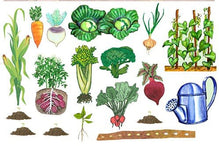 Load image into Gallery viewer, What&#39;s Growing? Vegetable Learning Kit Felt Figures for Flannelboard Stories-precut Ready to Use
