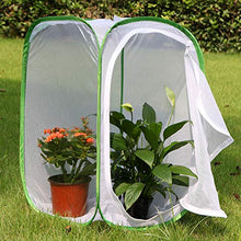 Load image into Gallery viewer, RESTCLOUD 24&quot; Insect and Butterfly Habitat Monarch Butterfly Enclosure for Caterpillars Pop Up 24 Inches Tall Pack of 2

